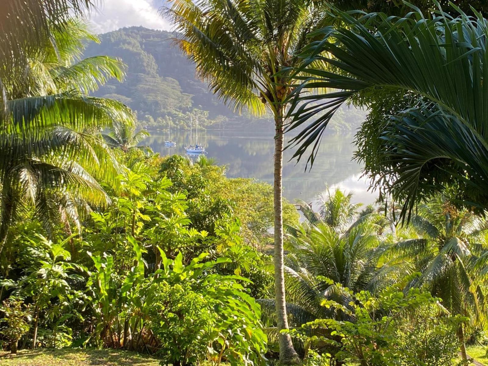 Huahine Manta Lodge Avec 4X4 Optionnel Haapu Exterior photo
